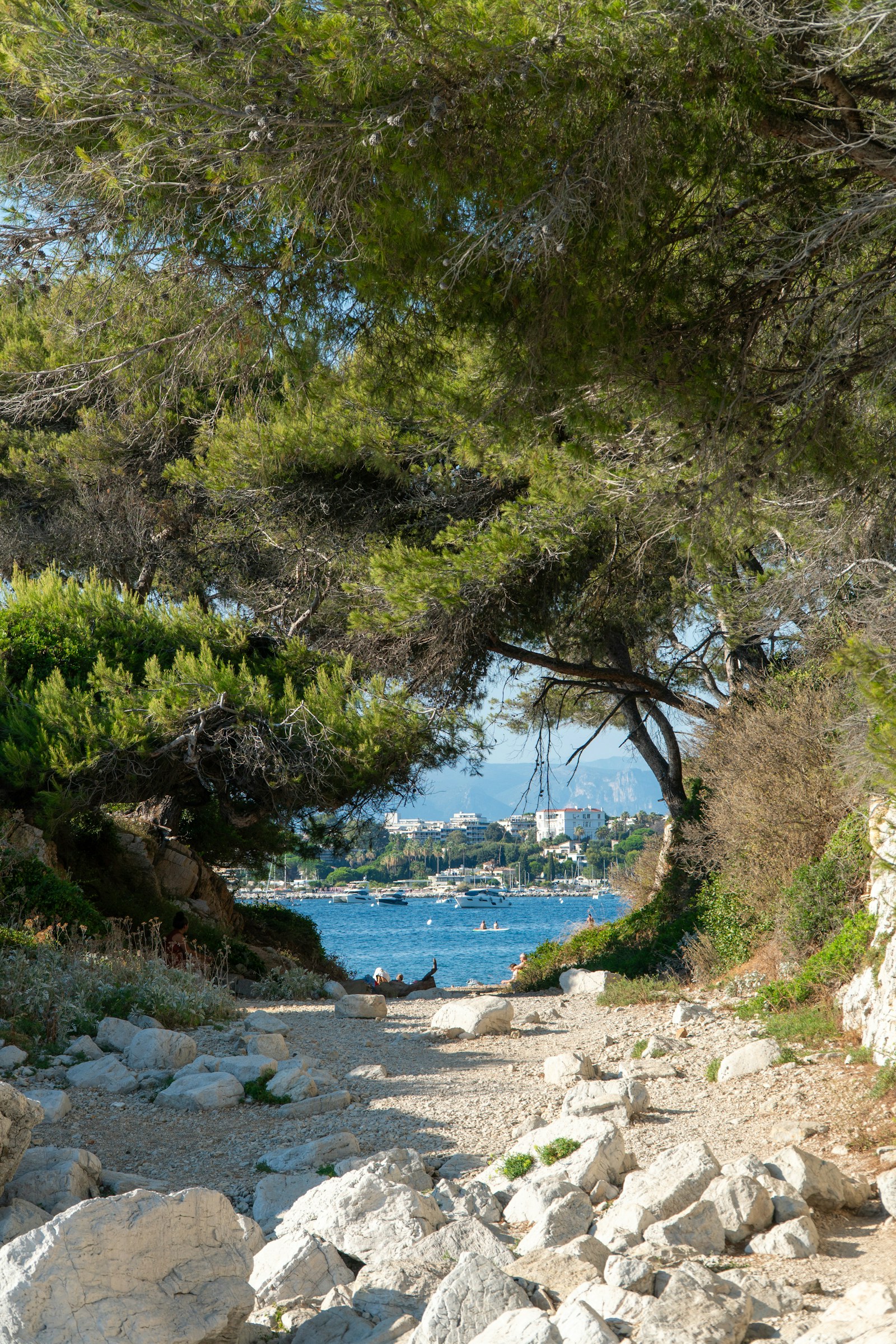 Le sentier du littoral du Cap d’Antibes : 3,7 km entre mer et pinède
